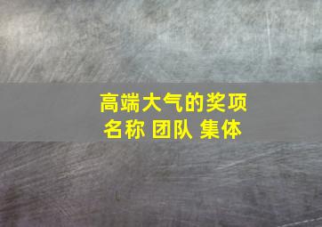 高端大气的奖项名称 团队 集体